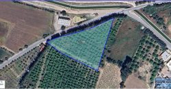 Paphos Timi Land Plot For Sale BCK050