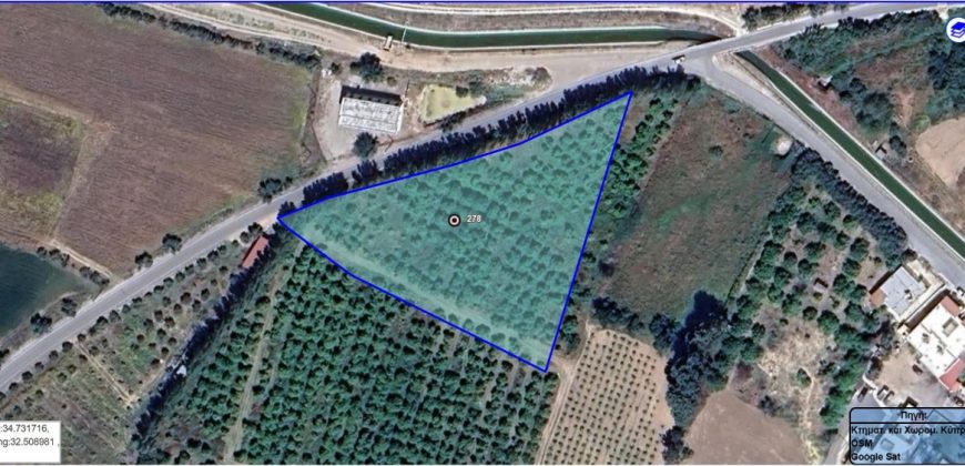 Paphos Timi Land Plot For Sale BCK050