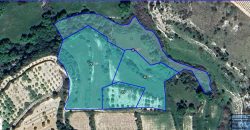 Paphos Kallepia Land Agricultural For Sale BC549