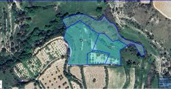 Paphos Kallepia Land Agricultural For Sale BC549