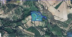 Paphos Kallepia Land Agricultural For Sale BC549