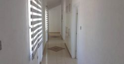Paphos Pegeia 4 Bedroom House For Sale DLHP0054