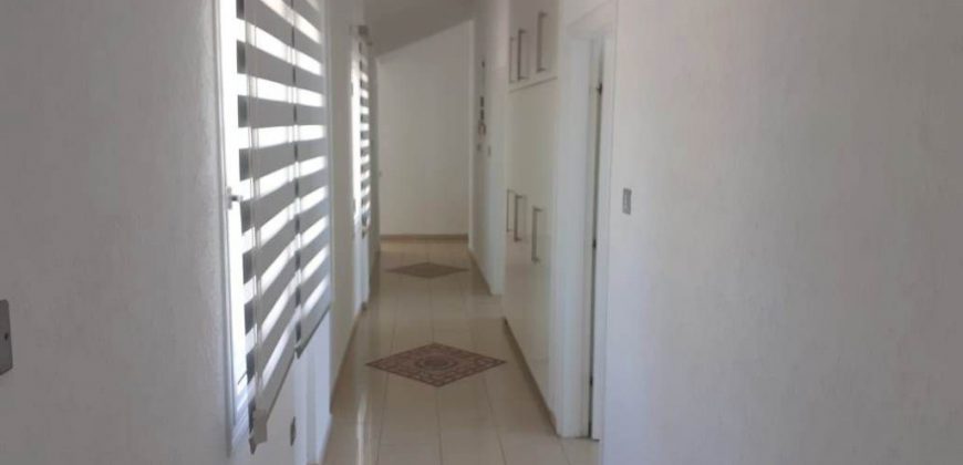 Paphos Pegeia 4 Bedroom House For Sale DLHP0054