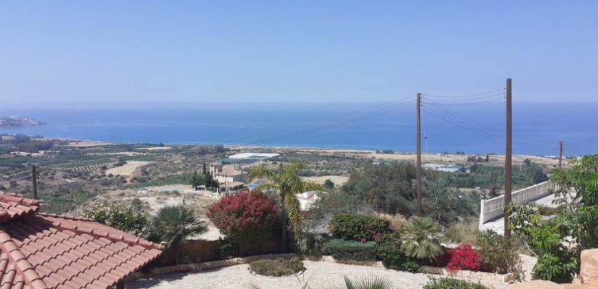 Paphos Pegeia 4 Bedroom House For Sale DLHP0054