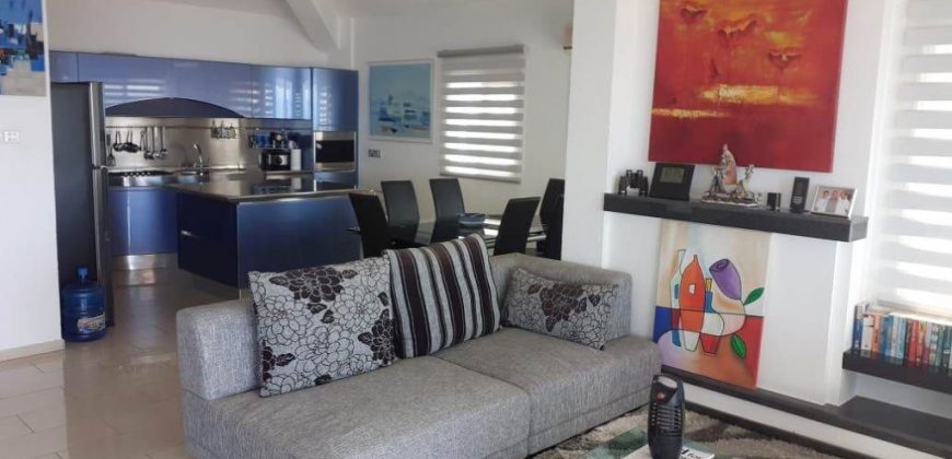 Paphos Pegeia 4 Bedroom House For Sale DLHP0054