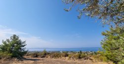 Paphos Agia Marina Chrysochous 4 Bedroom House For Sale DLHSL00045