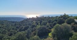 Paphos Kouklia Secret Valley 4 Bdr Detached Villa Off-Plan For Sale WWR30093