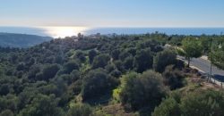 Paphos Kouklia Secret Valley 4 Bdr Detached Villa Off-Plan For Sale WWR30093