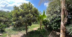 Paphos Tala Villa For Sale TPH2779