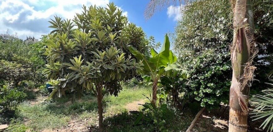 Paphos Tala Villa For Sale TPH2779