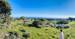 Limassol Pissouri Residential Land For Sale BSH45143