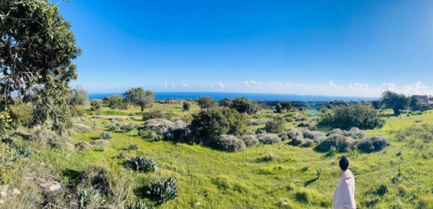 Limassol Pissouri Residential Land For Sale BSH45143