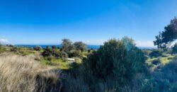 Limassol Pissouri Residential Land For Sale BSH45143