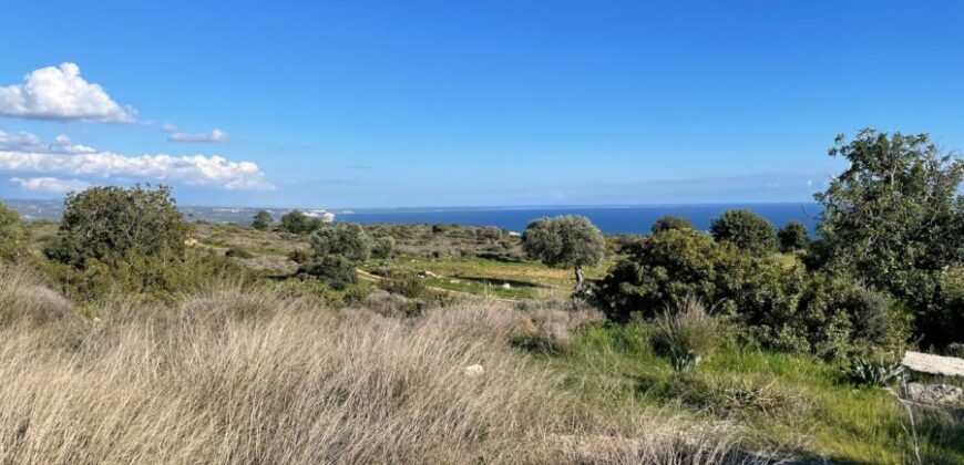 Limassol Pissouri Residential Land For Sale BSH45143