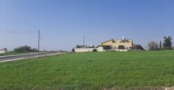 Paphos Anarita  Residential Land For Sale DTC2799