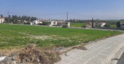 Paphos Anarita  Residential Land For Sale DTC2799