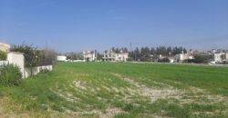 Paphos Anarita  Residential Land For Sale DTC2799