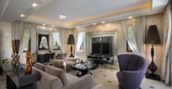 Paphos Argaka Detached Villa For Sale KTM94310