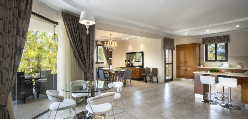 Paphos Argaka Detached Villa For Sale KTM94310