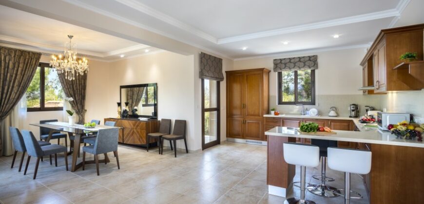 Paphos Argaka Detached Villa For Sale KTM94310