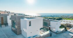 Paphos Chloraka 3 Bedroom Detached Villa For Sale BSH44479