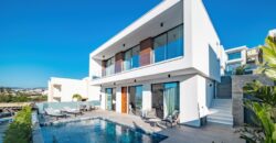 Paphos Chloraka 3 Bedroom Detached Villa For Sale BSH44479