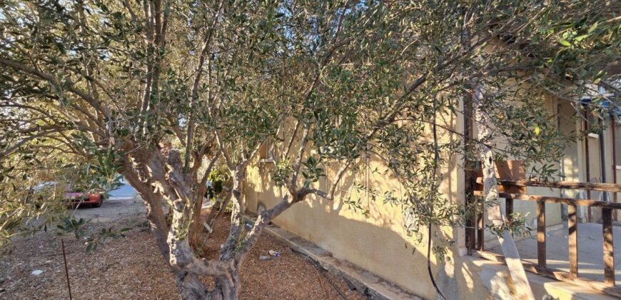 Paphos Chlorakas 2Bdr Residential Land For Sale DTC3501