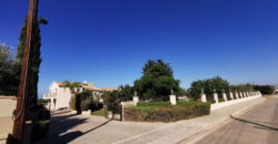 Paphos Emba 4Bdr Villa For Sale NGM14561
