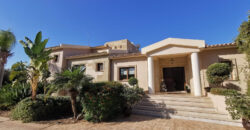 Paphos Emba 4Bdr Villa For Sale NGM14561