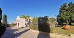 Paphos Emba 4Bdr Villa For Sale NGM14561