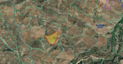 Paphos Episkopi  Agricultural Land For Sale DTC3347