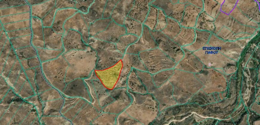 Paphos Episkopi  Agricultural Land For Sale DTC3347