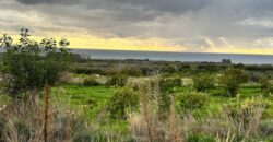 Paphos Kissonerga Agricultural Land For Sale BSH37082
