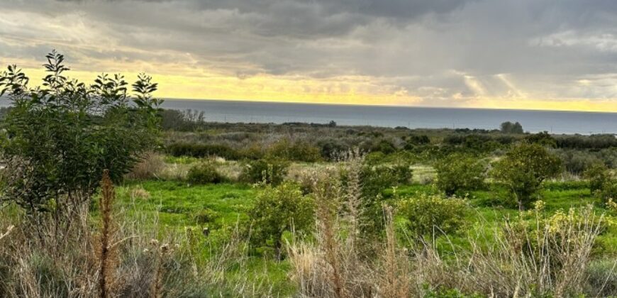 Paphos Kissonerga Agricultural Land For Sale BSH37082