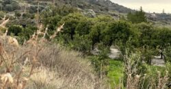 Paphos Kissonerga Agricultural Land For Sale BSH37082