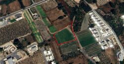 Paphos Kissonerga Residential Land For Sale BSH38134
