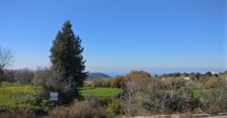 Paphos Lysos Residential Land For Sale BSH8127