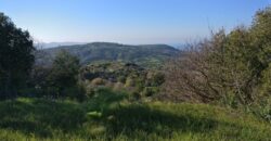 Paphos Lysos Residential Land For Sale BSH8129