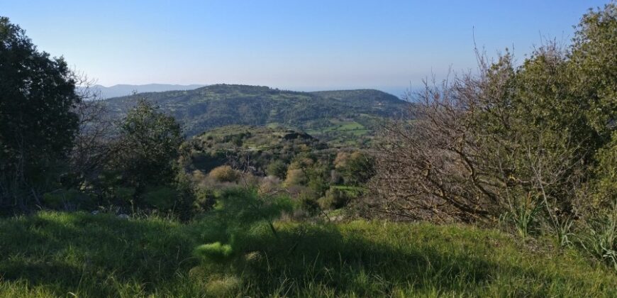 Paphos Lysos Residential Land For Sale BSH8129