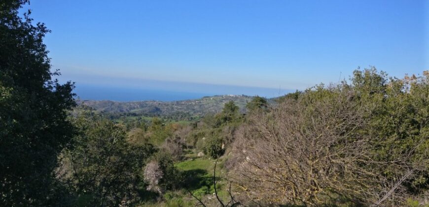 Paphos Lysos Residential Land For Sale BSH8129