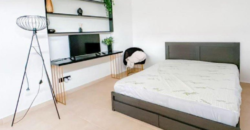 Paphos Pegeia 8 Bedroom House For Sale DLHSL00125