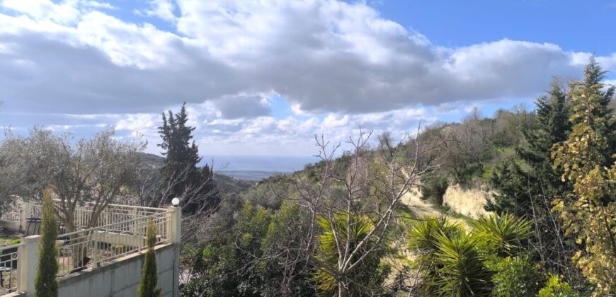 Paphos Tsada 3Bdr Detached Villa For Sale DTC3177