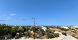 Paphos Emba 3Bdr Detached Villa For Sale DTC3768