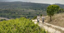 Pafos Tsada 3 Bedroom Villa For Sale PFA126-7348