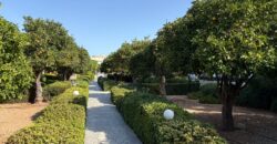 Paphos  3 Bedroom Townhouse For Sale MYM10299