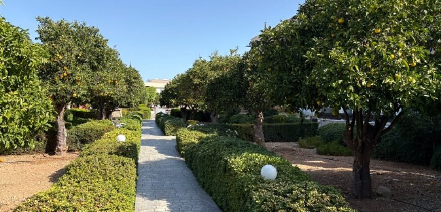 Paphos  3 Bedroom Townhouse For Sale MYM10299