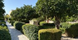 Paphos  3 Bedroom Townhouse For Sale MYM10299