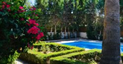 Paphos Pegeia 3 Bedroom House For Sale DLHD0930A