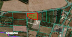 Paphos Geroskipou Building Plot For Sale TPH5344