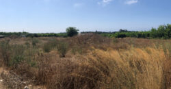 Paphos Geroskipou Building Plot For Sale TPH5344